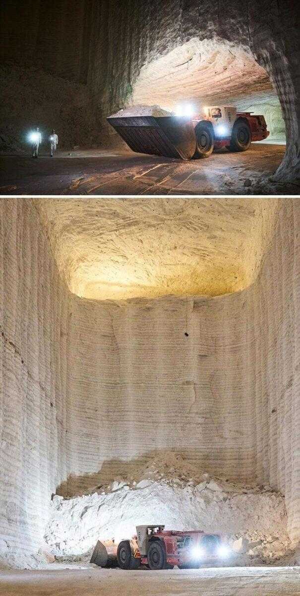 1750143071 321 27 coisas raramente vistas que mostram um lado inusitado do