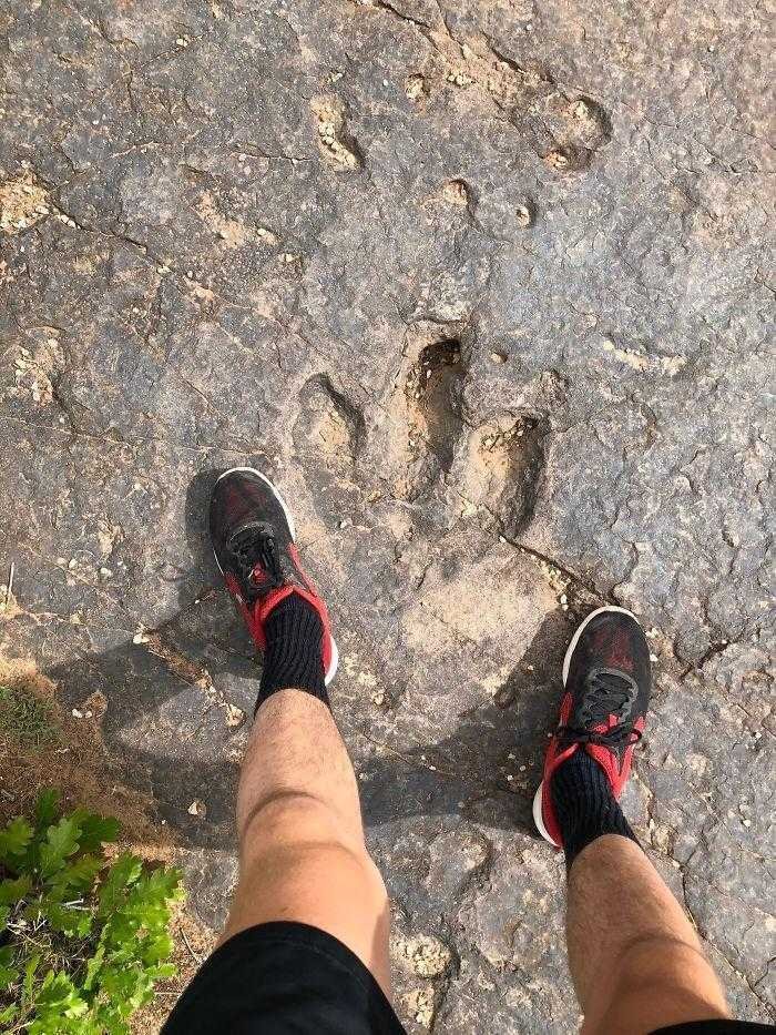 1750143083 693 27 coisas raramente vistas que mostram um lado inusitado do