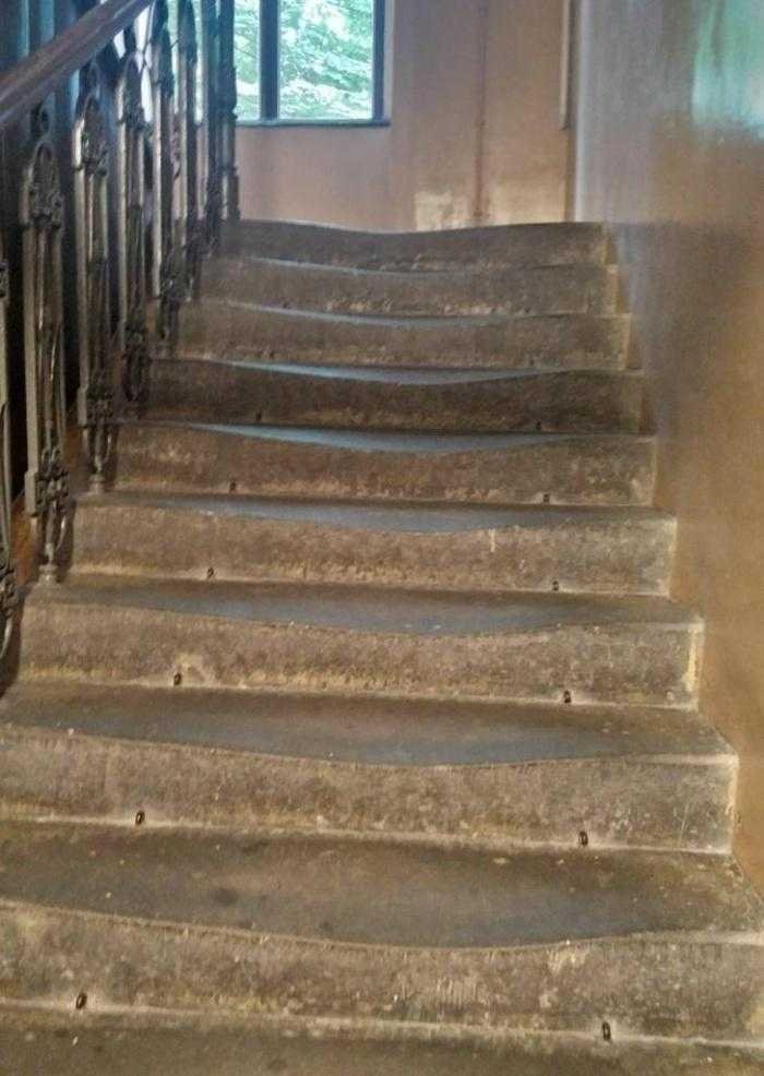 1750143085 902 27 coisas raramente vistas que mostram um lado inusitado do