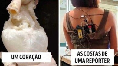 27 coisas raramente vistas que mostram um lado inusitado do mundo