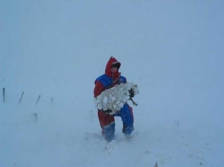 1750157599 182 24 fotos provando que os herois vivem entre nos