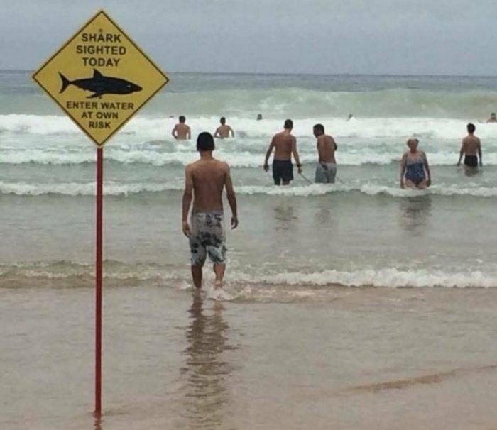 1750188795 233 19 fotos revelando que as praias sao cheias de surpresas