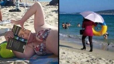1750188806 19 fotos revelando que as praias sao cheias de surpresas 19 fotos revelando que as praias são cheias de surpresas