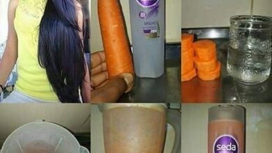 Receita de shampoo de cenoura para brilho e crescimento dos cabelos