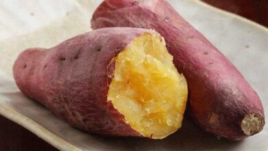 Batata doce previne diabetes, cegueira, e ajuda perder peso, aprenda