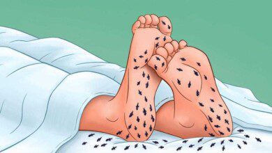 10 formas de o teu corpo te dizer que algo está errado