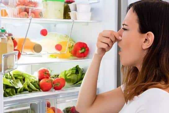 Como-tirar-mau-cheiro-da-geladeira