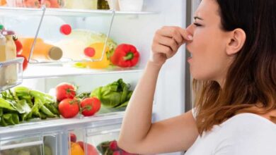 1750308319 Como tirar mau cheiro da geladeira Como-tirar-mau-cheiro-da-geladeira