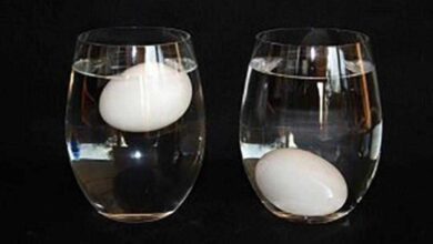 Como saber se um ovo serve ou não para ser consumido