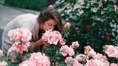 Pessoas que apreciam a natureza são mais felizes, saudáveis e inovadoras.