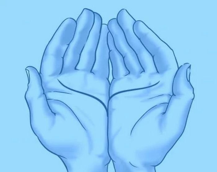 As linhas da sua mão revela algo incrível sobre você 5 As linhas da sua mão revela algo incrível sobre você 5