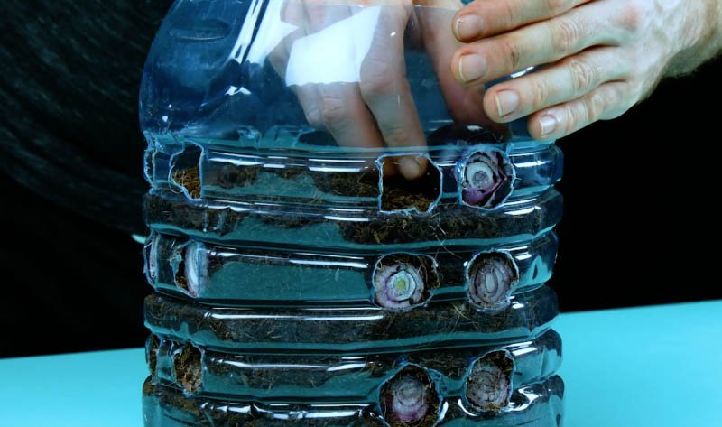 1750355263 338 4 Ideias geniais e ecologicas para reutilizar garrafas plasticas com