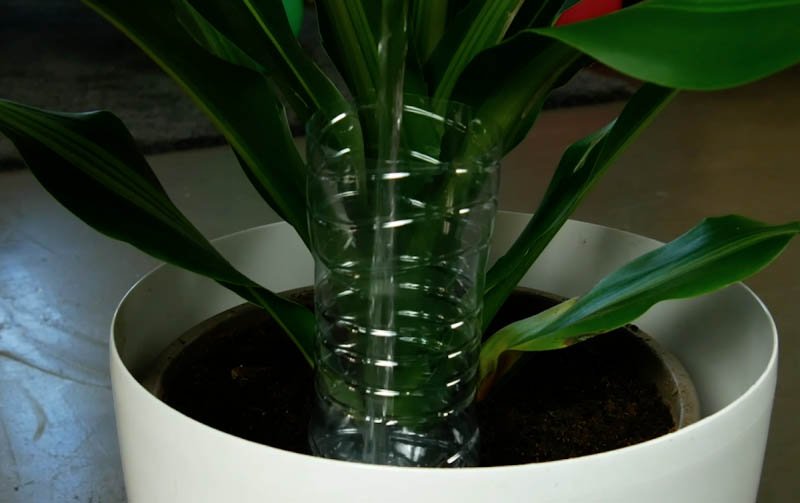 1750355269 279 4 Ideias geniais e ecologicas para reutilizar garrafas plasticas com