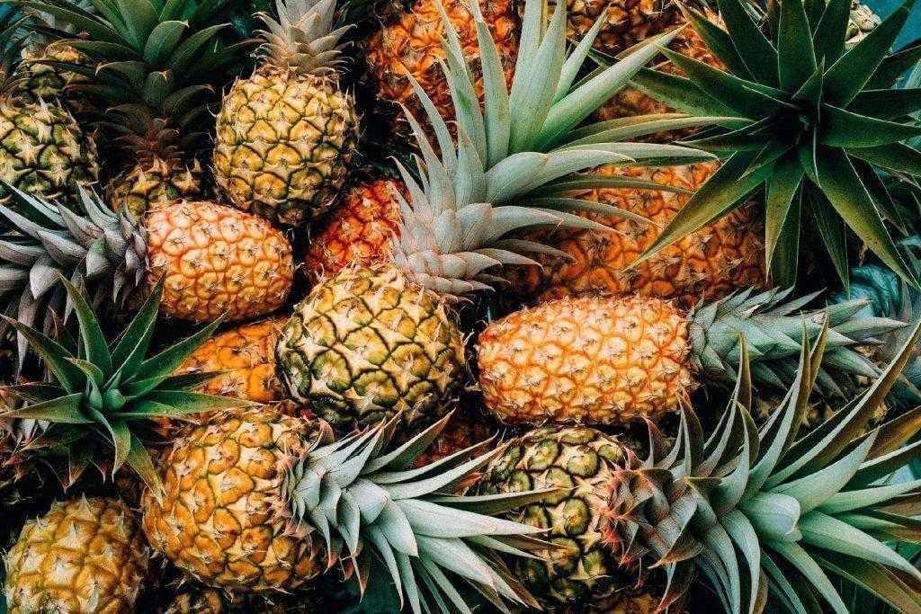 1750360095 982 Venha descobrir o que sua fruta favorita diz sobre voce