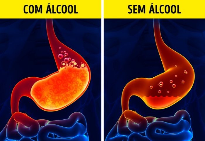 1750360693 810 As mudancas que ocorrem com o corpo se voce