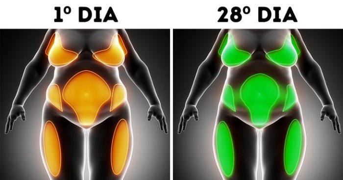 1750360697 62 As mudancas que ocorrem com o corpo se voce