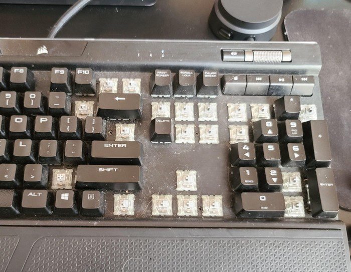 Depois disso, você nunca mais vai querer jogar fora as cascas de laranja – dicastop.com