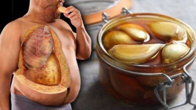 5 benefícios do alho com mel para saúde