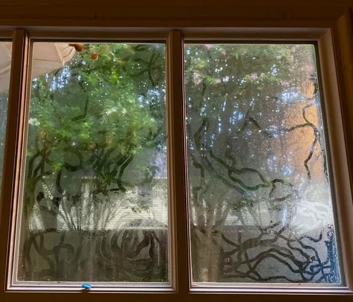 Se essas 20 imagens não mexerem com você… nada vai