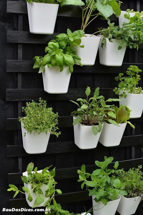 24 Ideias de jardins de parede criativas