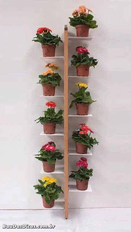 24 Ideias de jardins de parede criativas