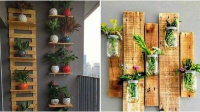 24 Ideias de jardins de parede criativas