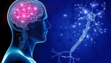 8 hábitos que afetam sua saúde cerebral sem que você perceba