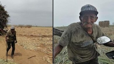 Aos 94 anos, avô trabalha em canavial 12 horas por dia. Os seus filhos abandonaram-no