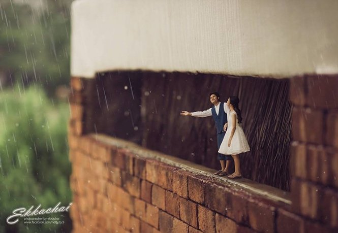 1750385029 554 Fotografo de casamento transforma casais em miniaturas Foto: Facebook