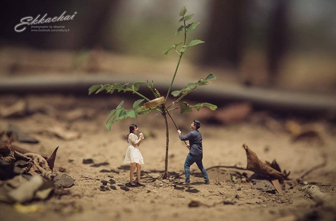 1750385034 372 Fotografo de casamento transforma casais em miniaturas Foto: Facebook