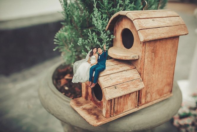1750385036 882 Fotografo de casamento transforma casais em miniaturas Foto: Facebook