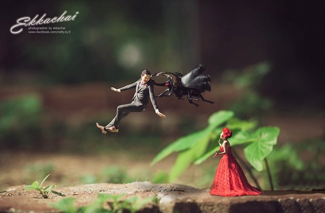 1750385038 925 Fotografo de casamento transforma casais em miniaturas Foto: Facebook