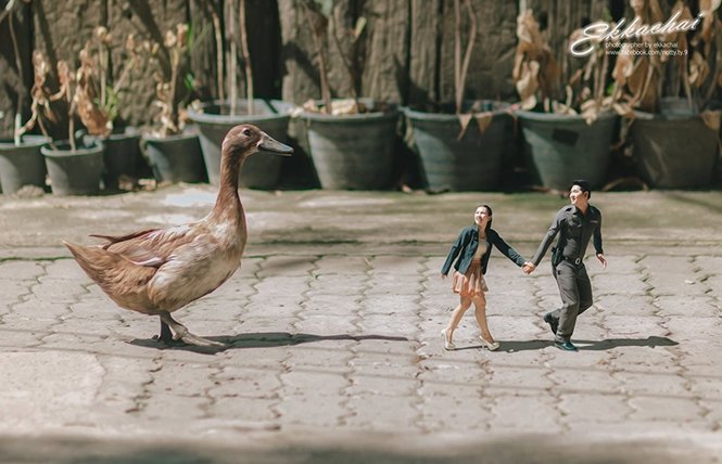 1750385045 712 Fotografo de casamento transforma casais em miniaturas Foto: Facebook