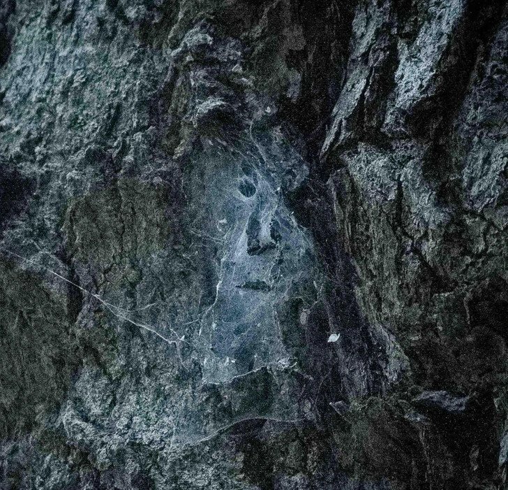 1750385649 829 Ilusoes de otica 21 Fotos que causam duvidas em quem