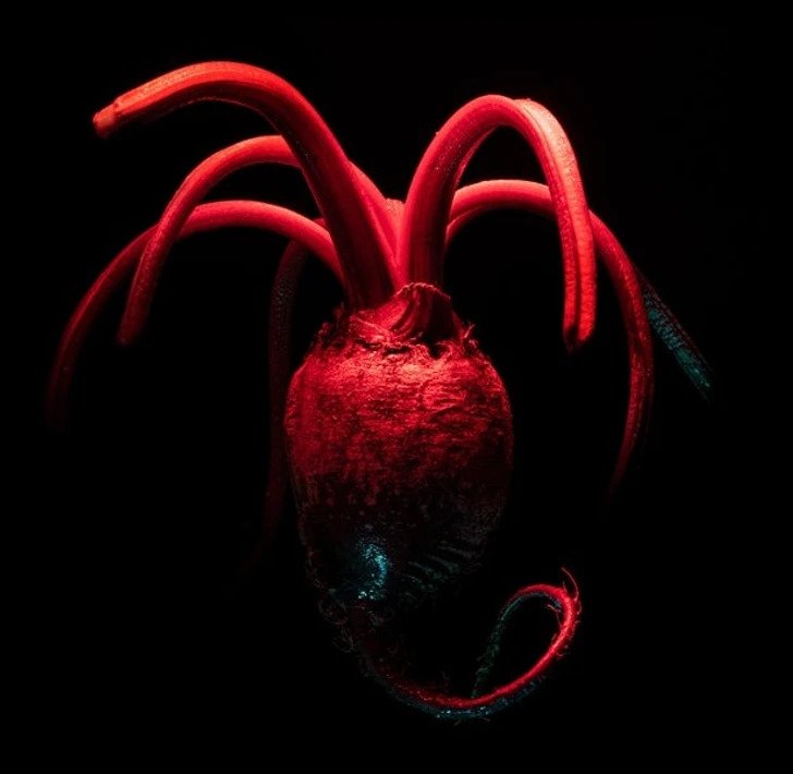 1750385663 969 Ilusoes de otica 21 Fotos que causam duvidas em quem