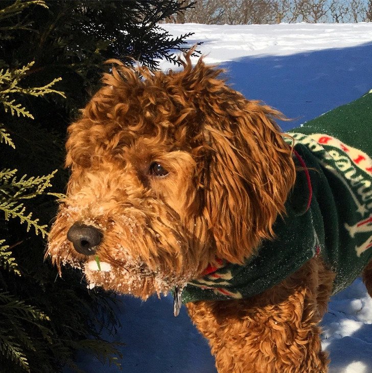 1750385671 41 Ilusoes de otica 21 Fotos que causam duvidas em quem