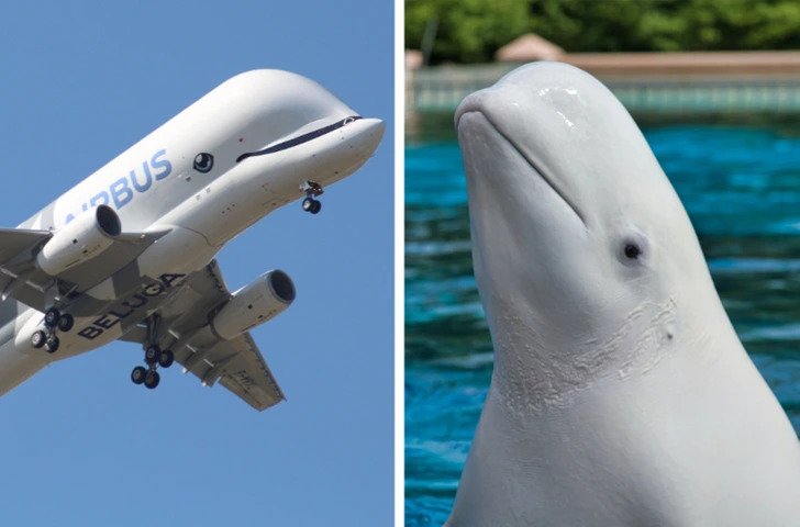 1750385676 630 Ilusoes de otica 21 Fotos que causam duvidas em quem