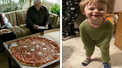 15 Fotos provando que a vida em família pode não ser nada entediante