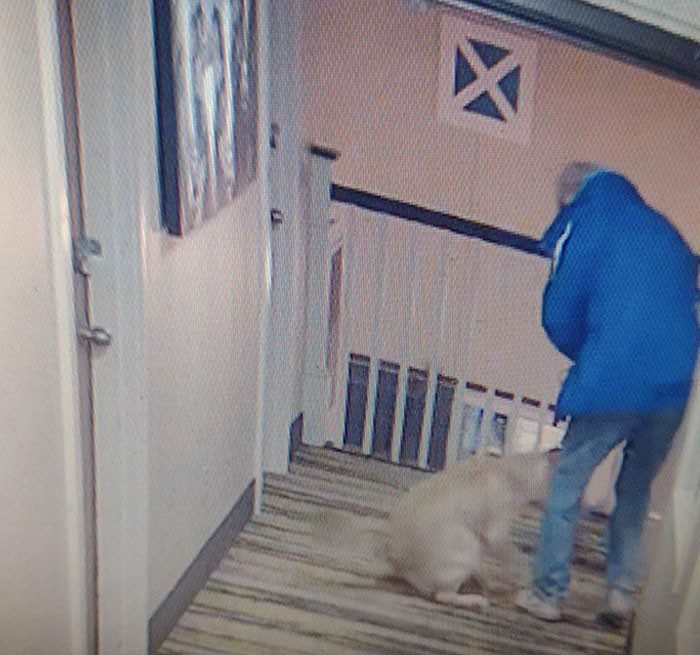 Receita de biscoito de maizena simples