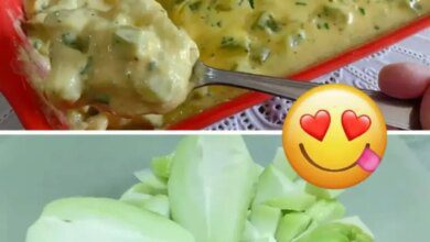 Chuchu cremoso uma receita fácil