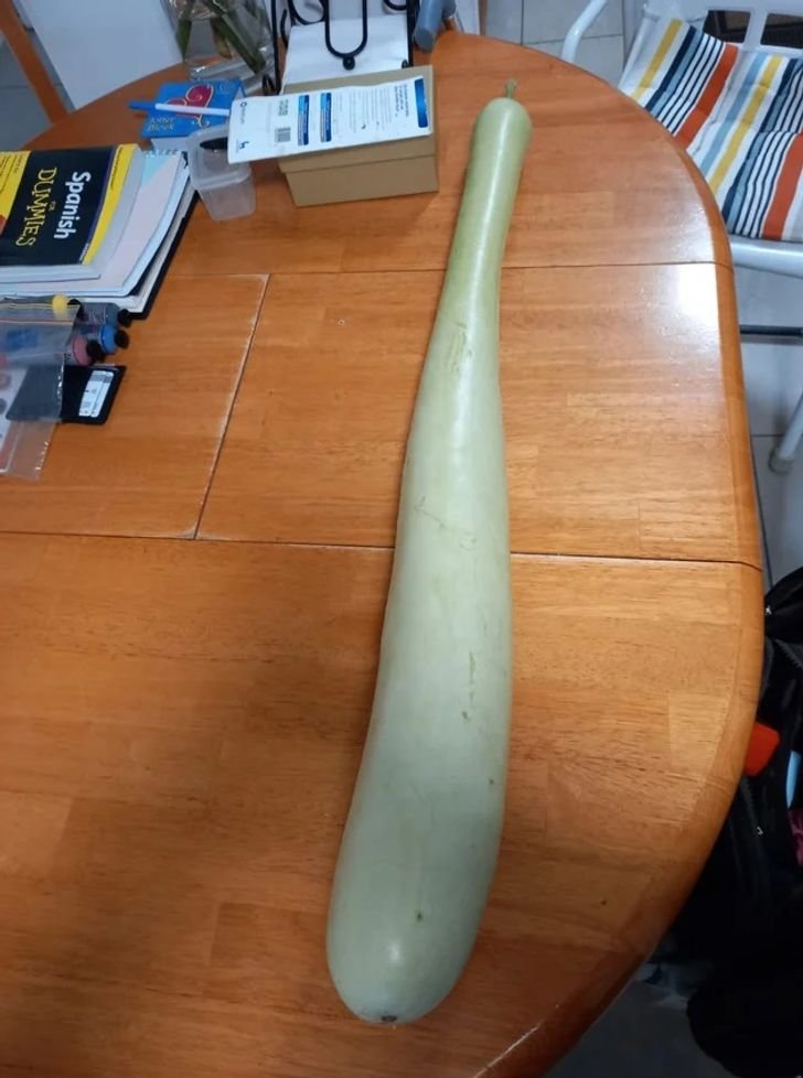 1750391244 976 20 provas encantadoras de que a mae natureza pode dar Bolinhos de Cenoura douradinhos e muito fofinhos