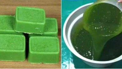 Sabão de folha de mamão em barra e líquido, limpa e clareia as roupas