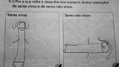 1750393446 10 perolas de alunos que nao passarao de ano 10 pérolas de alunos que não passarão de ano
