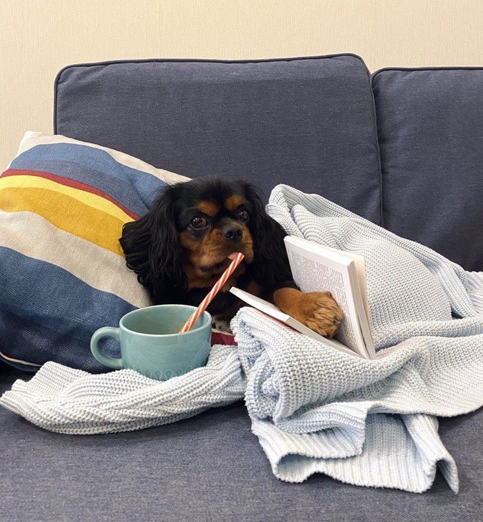 32 Garotas que só queriam ficar mais bonitas, mas alguma coisa deu MUITO errado