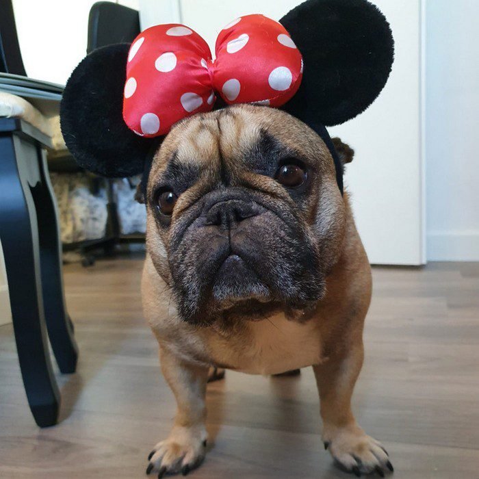 32 Garotas que só queriam ficar mais bonitas, mas alguma coisa deu MUITO errado