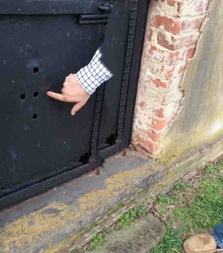 1750394334 874 16 fotos que fazem duvidar do que os olhos estao