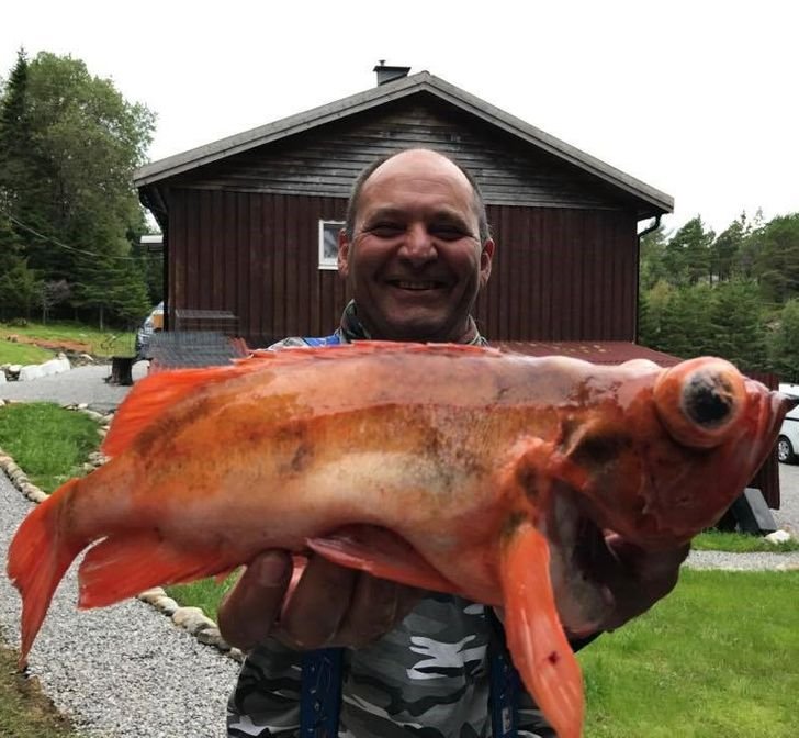 1750394357 204 16 fotos que fazem duvidar do que os olhos estao