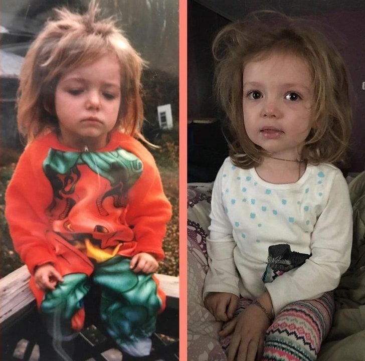 1750394422 752 19 imagens comparativas que mostram o quao incrivel a genetica