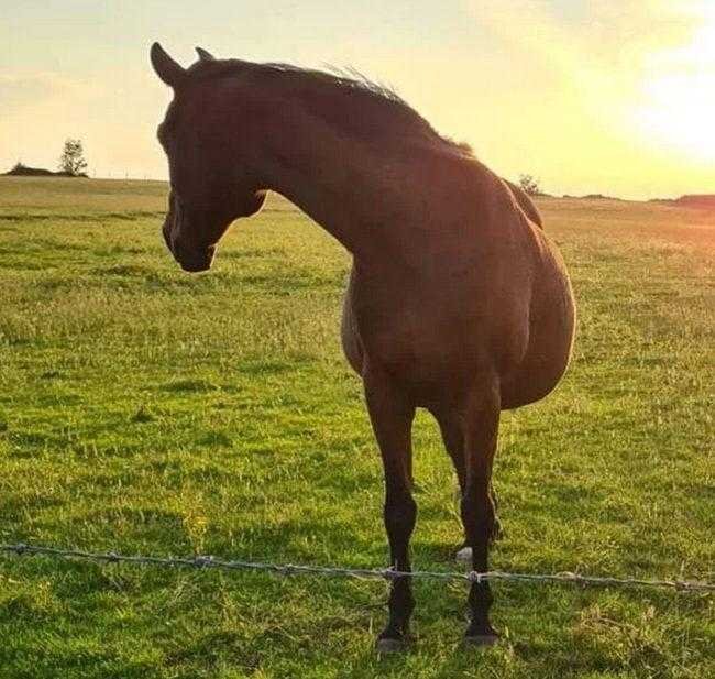 1750394657 702 20 fotos confusas que farao voce olhar duas vezes para