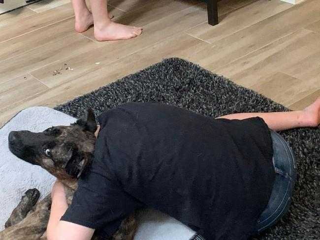 1750394672 455 20 fotos confusas que farao voce olhar duas vezes para